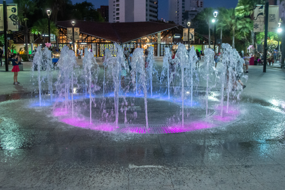 Entrega Da Fonte Da Ceart