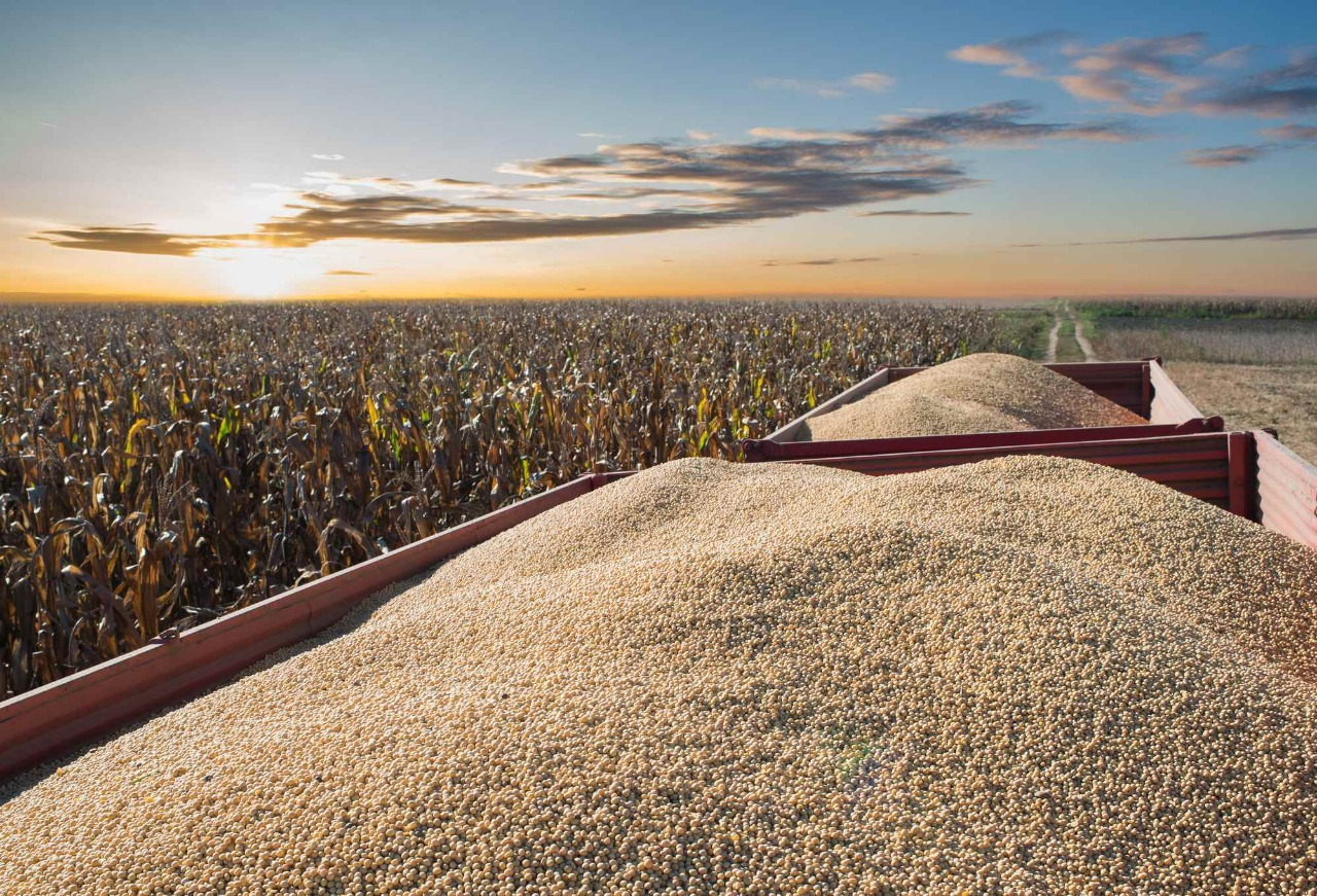 Expolog 2021 debate importância da logística no agronegócio