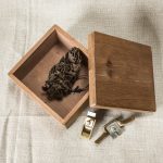 9ek8342 ©edson Kumasaka 2021 ©edson Kumasaka 2021 Bx