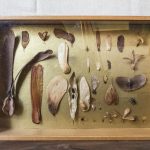 9ek8364 ©edson Kumasaka 2021 ©edson Kumasaka 2021 Bx