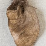 9ek8374 ©edson Kumasaka 2021 ©edson Kumasaka 2021 Bx