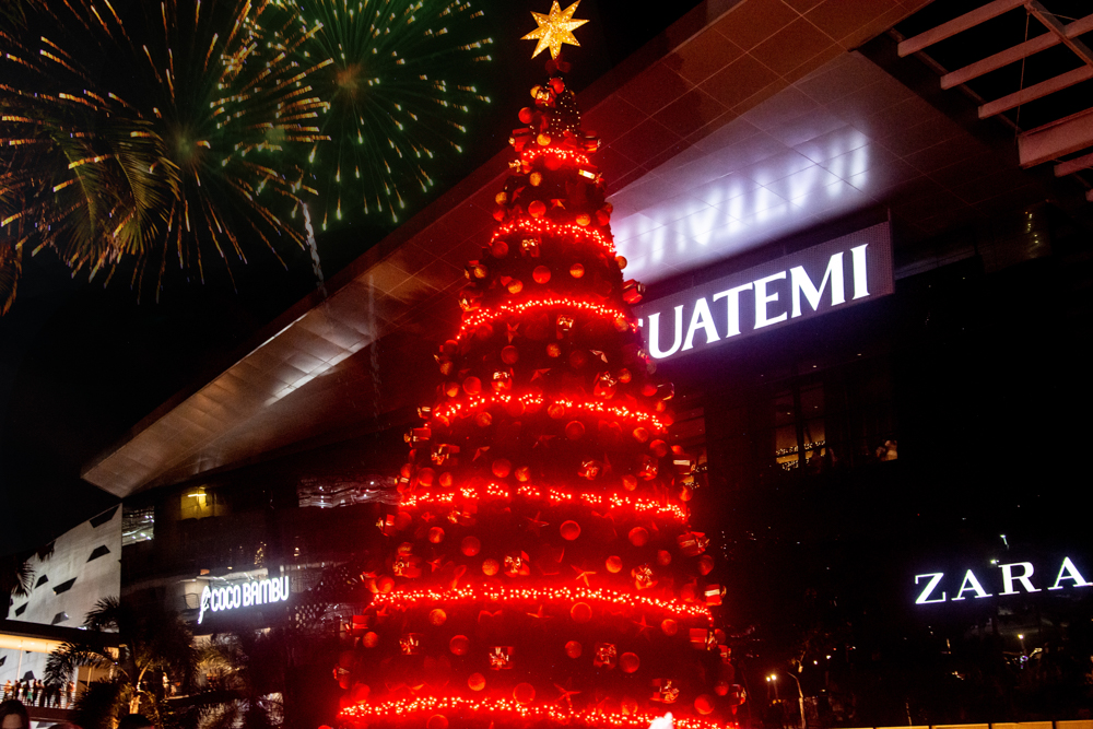 Chegada De Papai Noel No Iguatemi (38)