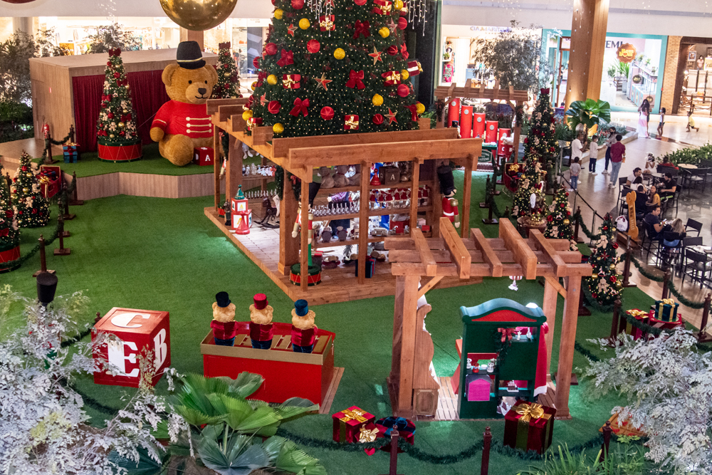 Chegada De Papai Noel No Iguatemi (39)