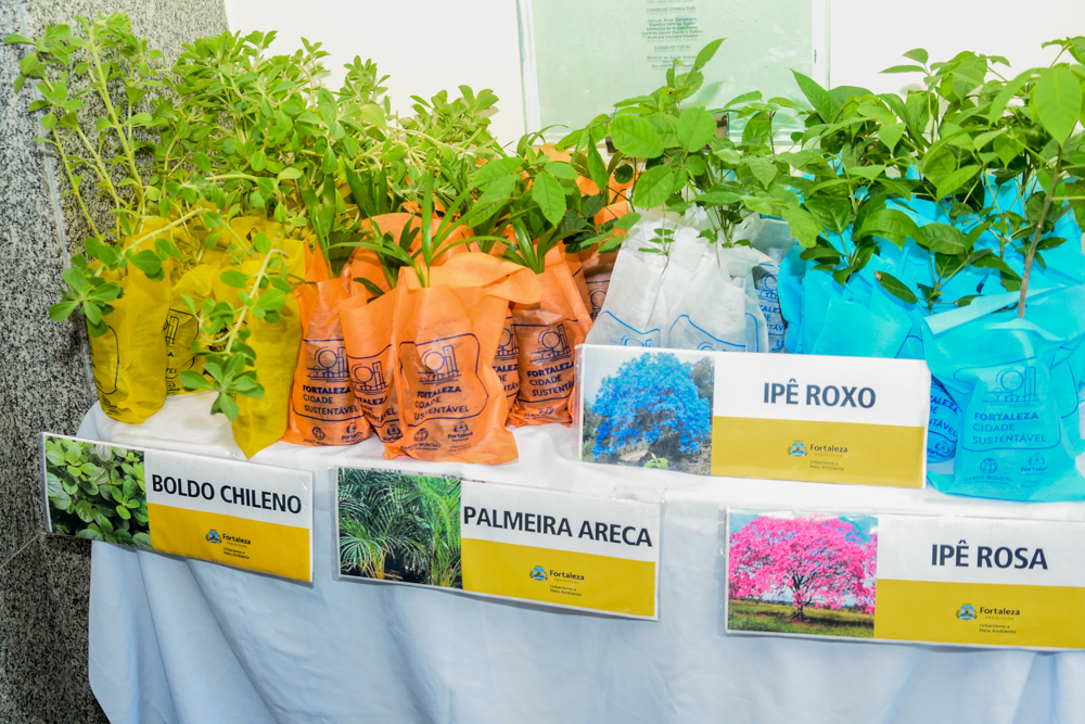 Lançamento Do Ceará Natal De Luz 2021 (22)