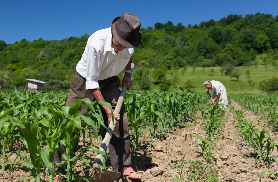 BNB transforma realidade da agricultura familiar com financiamento do Pronaf