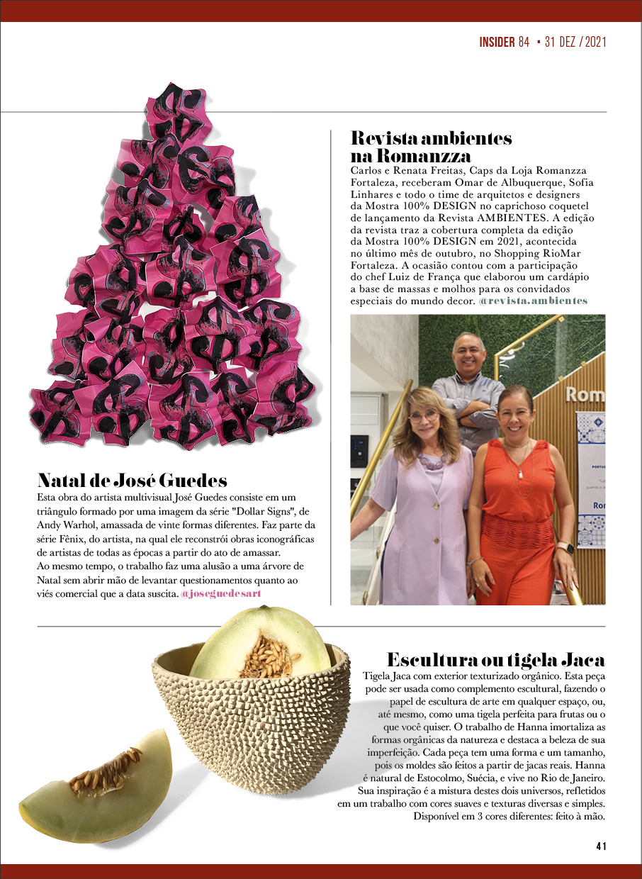 Insider #84 Luiz Gastão41