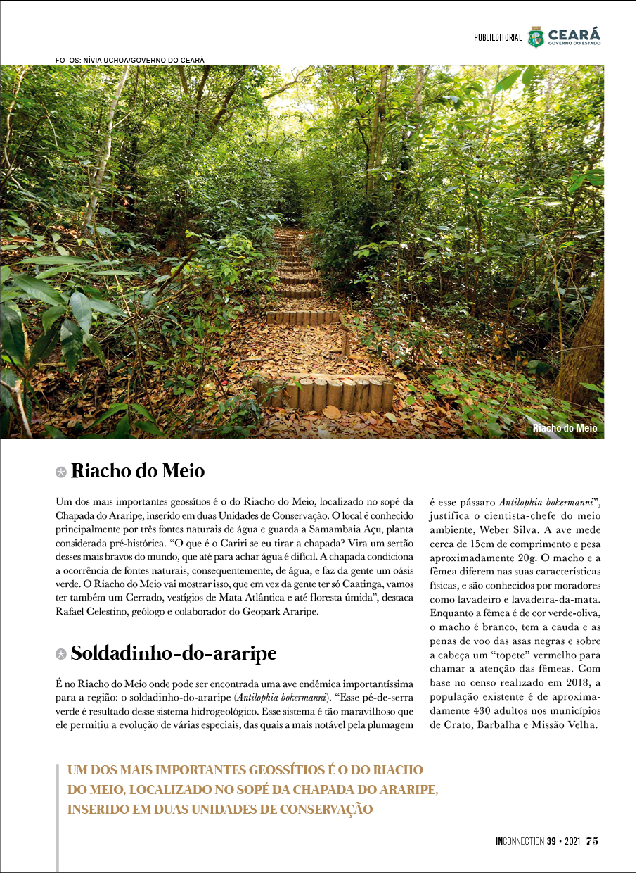 Miolo Inconnection #39 Dego Villar75