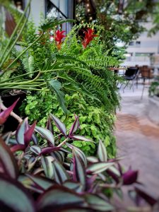 Whatsapp Image 2021 12 07 At 08.15.36