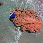 92c3c2e8 6842 407b Aa23 336ad5a97276