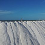 B57b8d23 Ec4b 4a3a 9a52 Ec8f4b4a2d14