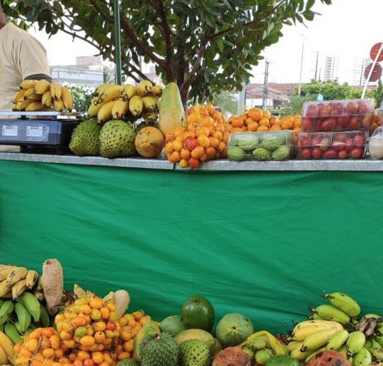 Sábado (29) tem feira de produtos orgânicos no RioMar Kennedy