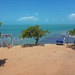 F021c0ed 36a6 40c8 9f84 F0fdc73526bd