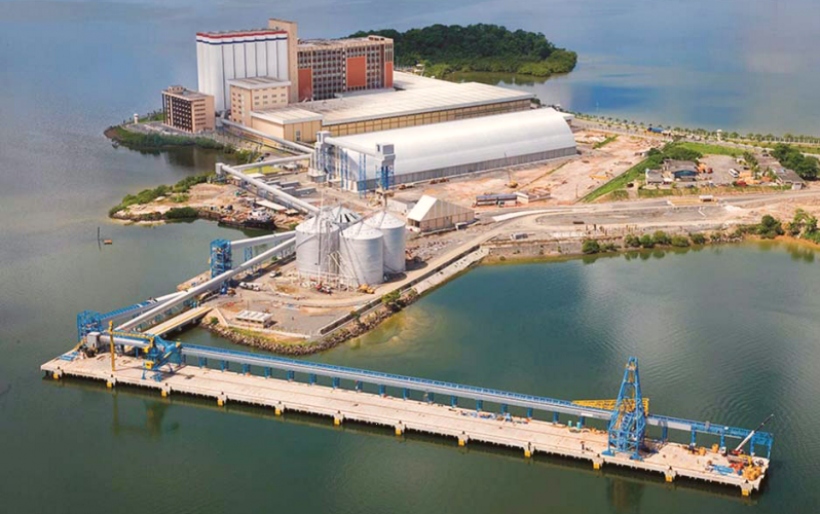 M. Dias Branco recupera mangue e faz compensação ambiental em duas regiões