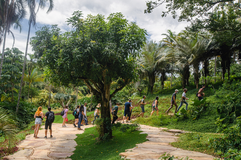 Programação do Inhotim traz passeio nos bastidores do Viveiro. Vem conferir!