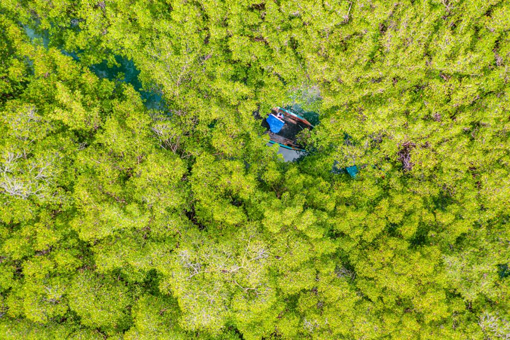 4115a2b5 1ac7 409e 9748 7f984baff24d