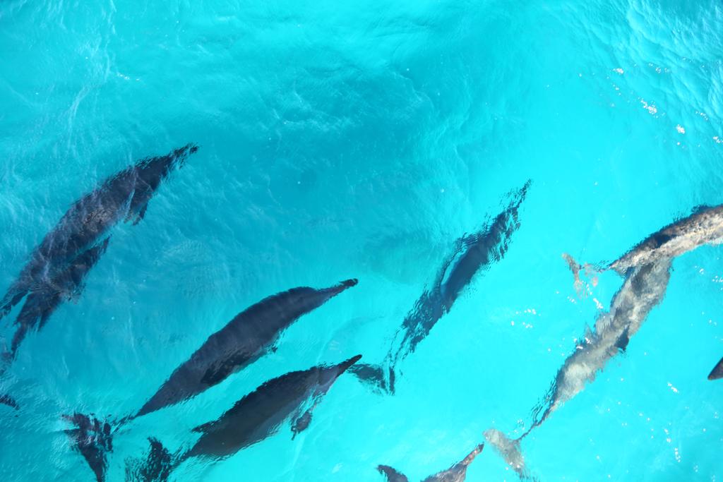 A30af50c 1645 4956 Ae9d Dda204e51a5a