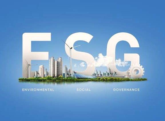 Go&Search quer ampliar suas operações na área de ESG em nível internacional