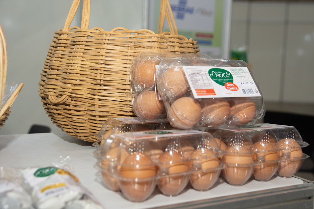 3o Seminário Agrosetores Ceará (11)