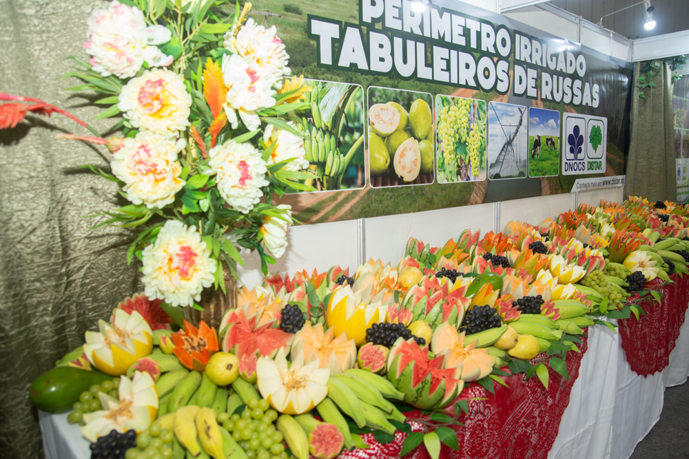 3o Seminário Agrosetores Ceará (17)