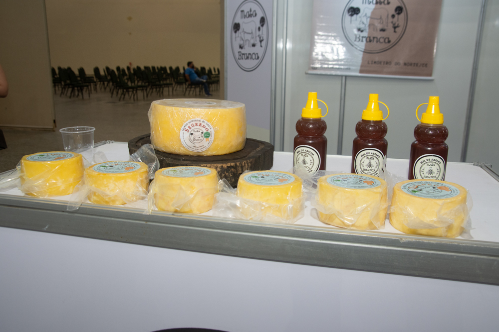 3o Seminário Agrosetores Ceará (3)