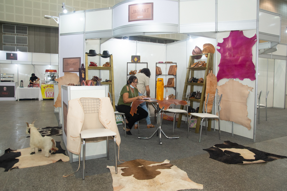 3o Seminário Agrosetores Ceará (4)