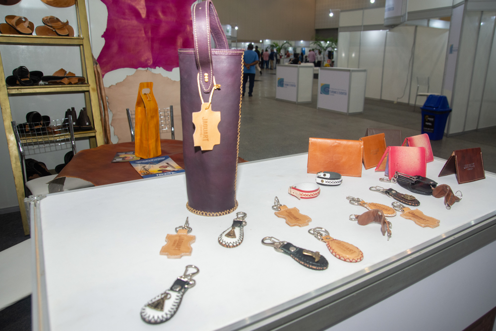 3o Seminário Agrosetores Ceará (5)