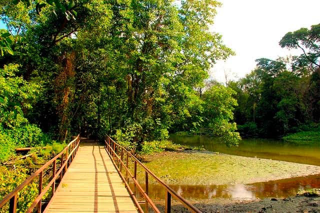 Fundação Terra promove evento solidário no Parque do Cocó Fundação Terra promove evento solidário no Parque do Cocó