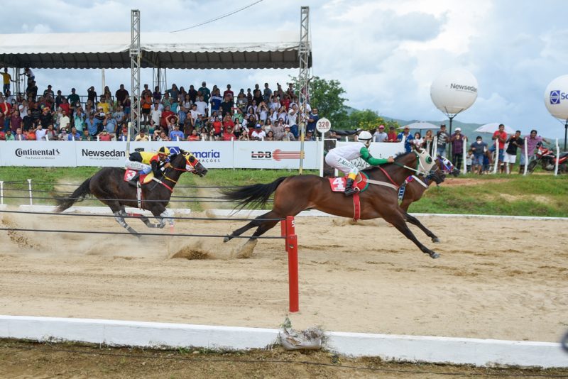 Ceará avança no reconhecimento de haras como patrimônio cultural e vetor do turismo equestre