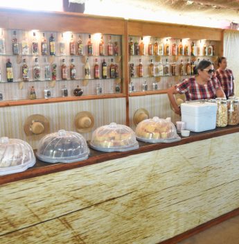 Xv Gp Haras Primavera 