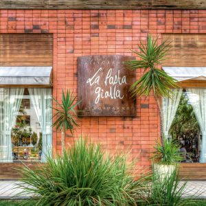 118404883 3277929398959603 215115365189724172 N