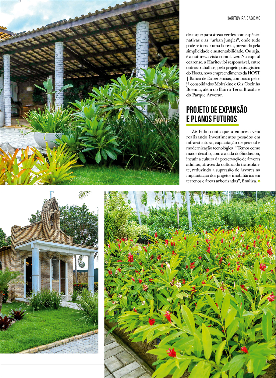 Insider #98 Haritov Paisagismo19