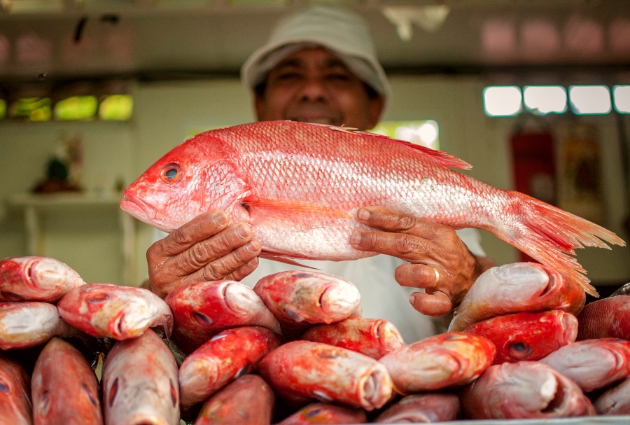 Potencial de pescados do Ceará será apresentado na maior feira do setor