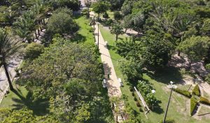 07 02 2022 Parque Passaré