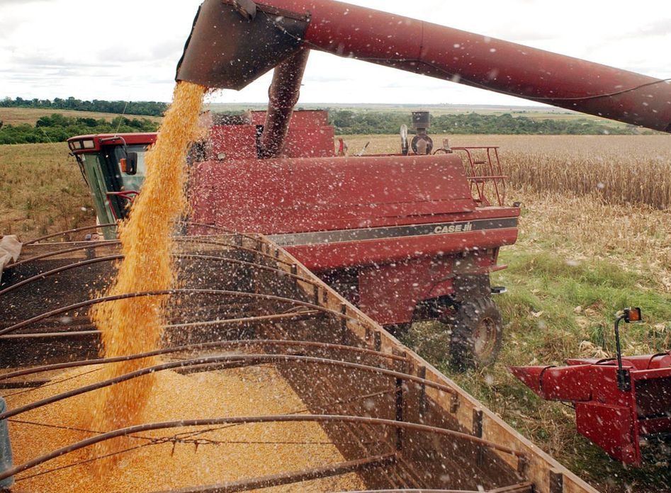 Senado aprova projeto de lei que suspende PIS/Cofins sobre vendas de milho em grãos e derivados