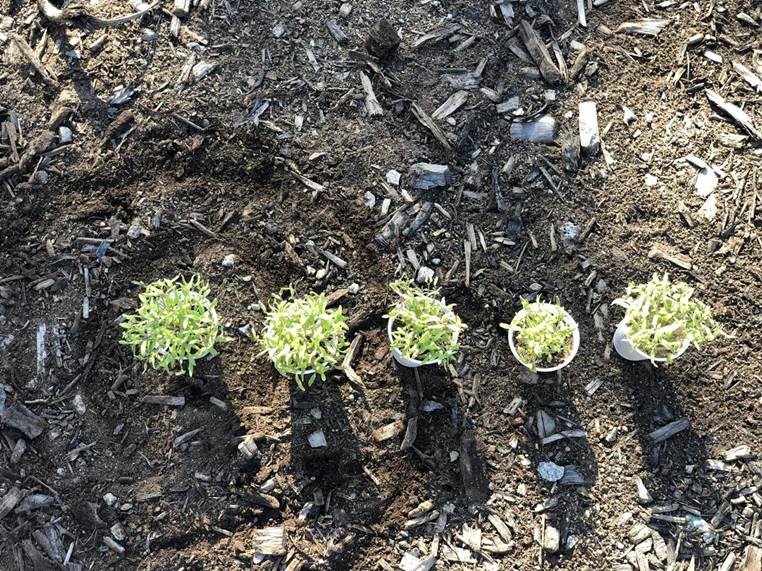 RioMar Fortaleza implementa e investe em novo programa de sustentabilidade