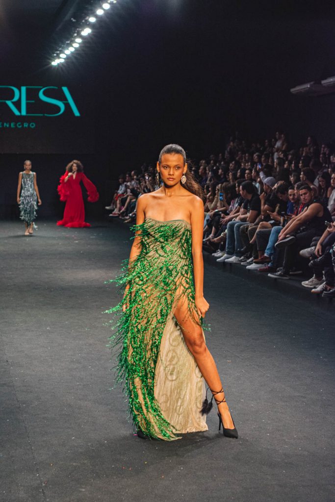 Theresa Montenegro (8)