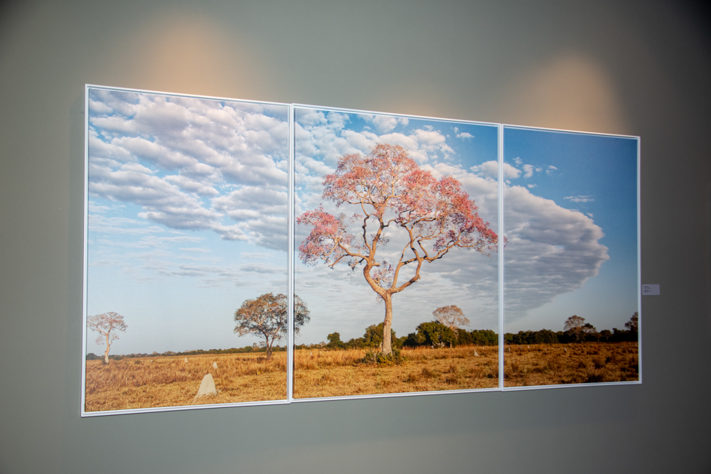 Exposição Som Do SilÊncio Por Ingrid Barreira (1)