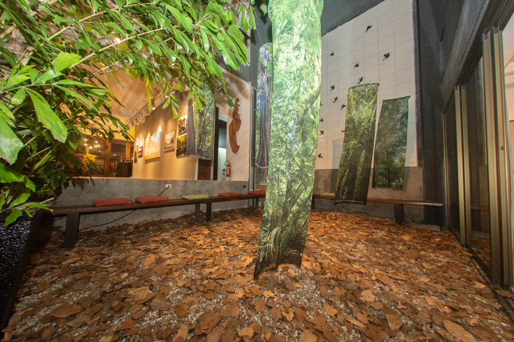 Exposição Som Do SilÊncio Por Ingrid Barreira (11)