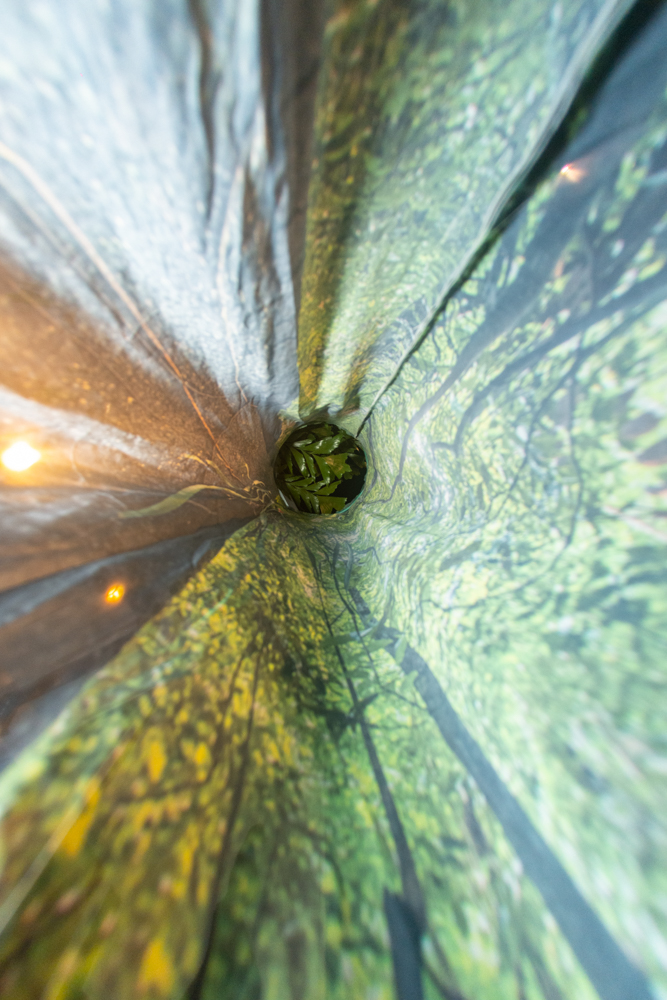 Exposição Som Do SilÊncio Por Ingrid Barreira (12)