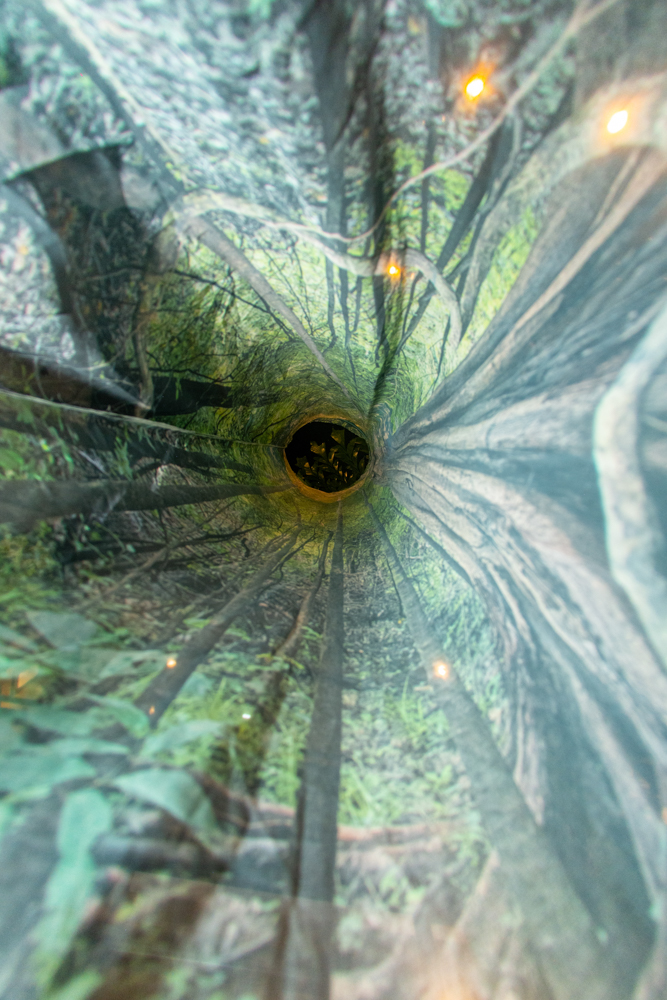 Exposição Som Do SilÊncio Por Ingrid Barreira (13)