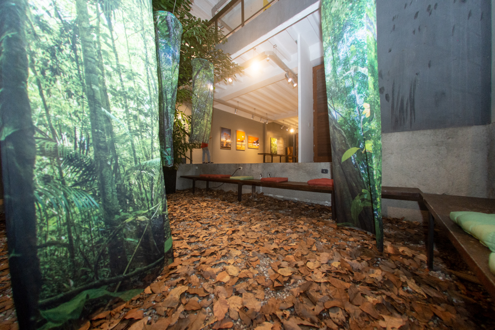 Exposição Som Do SilÊncio Por Ingrid Barreira (14)