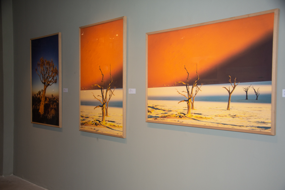 Exposição Som Do SilÊncio Por Ingrid Barreira (16)