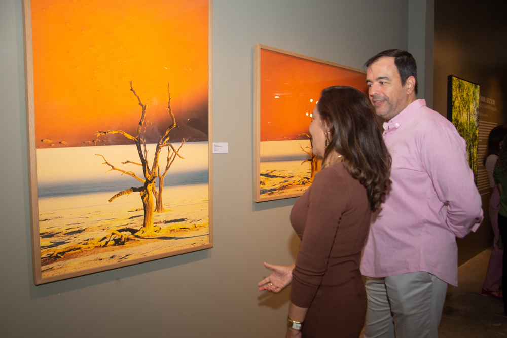 Exposição Som Do SilÊncio Por Ingrid Barreira (22)