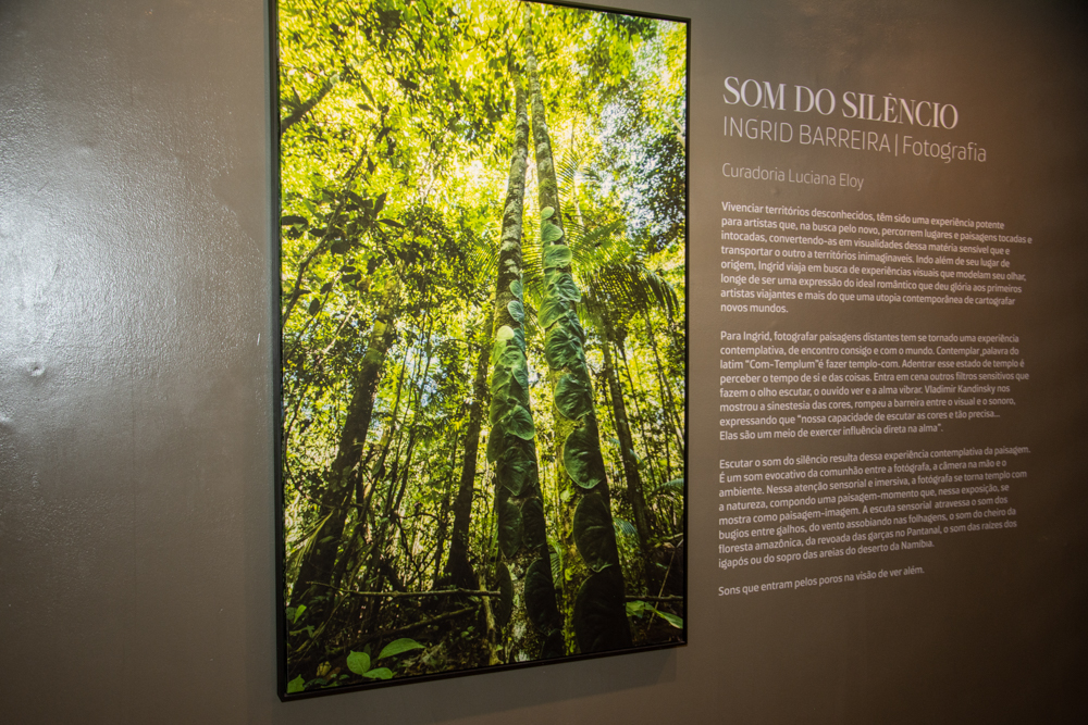 Exposição Som Do SilÊncio Por Ingrid Barreira (3)