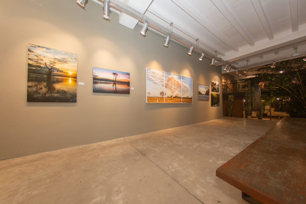 Exposição Som Do SilÊncio Por Ingrid Barreira (5)