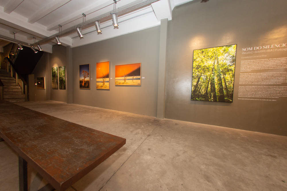 Exposição Som Do SilÊncio Por Ingrid Barreira (6)