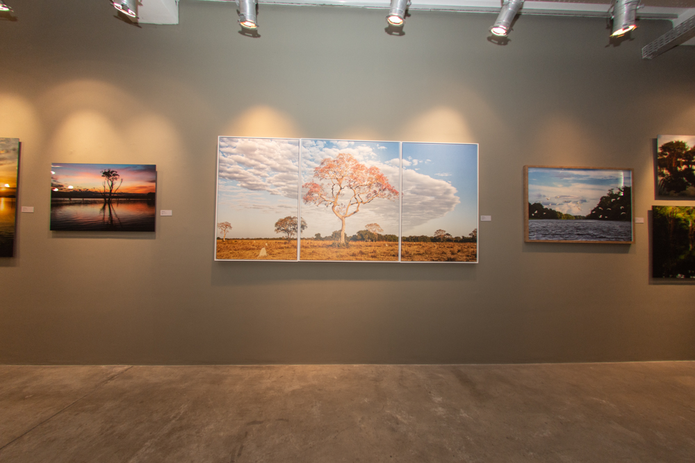 Exposição Som Do SilÊncio Por Ingrid Barreira (7)