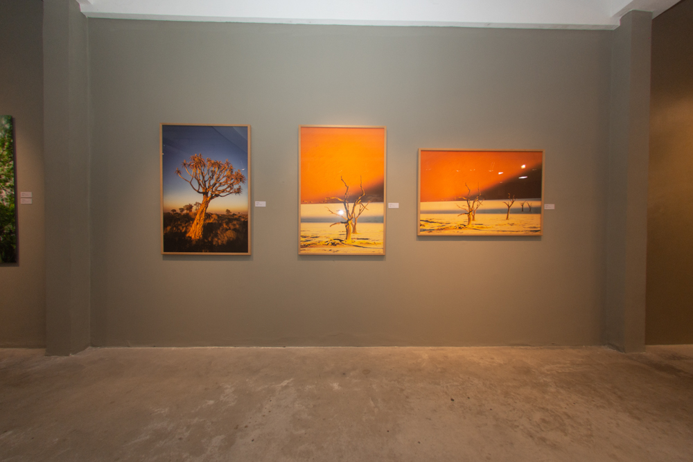 Exposição Som Do SilÊncio Por Ingrid Barreira (8)