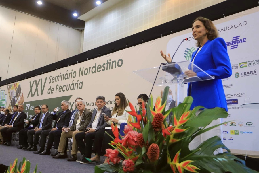 Izolda Cela destaca relevância econômica do segmento agropecuário para o Ceará