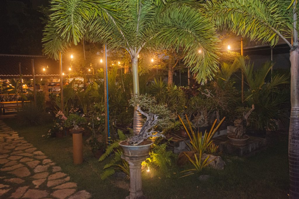 Conexao Milao Com Sofia Linhares No Flora & Tal (6)